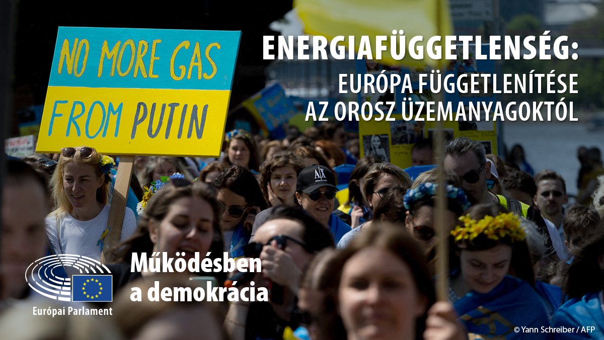Energy Independence - Twitter Card